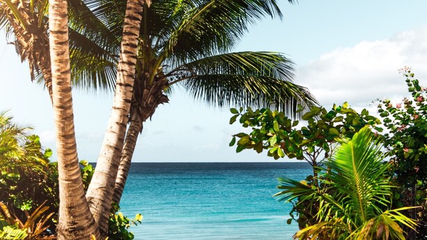 A tropical beach scene with palm trees and a view of the ocean. - Crowne Plaza Dar Es Salaam (Dar es Salaam)