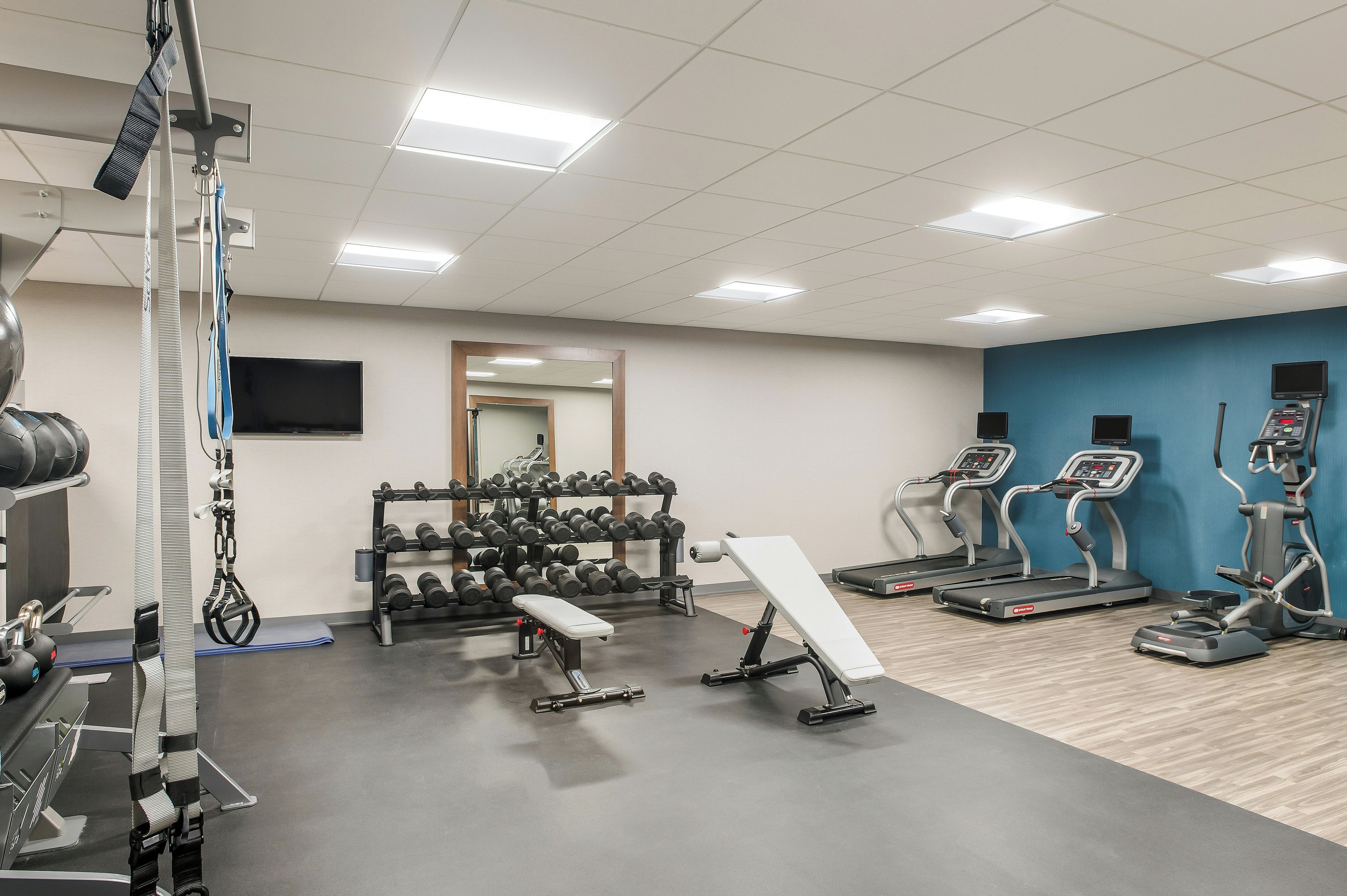 A gym with treadmills, dumbbells, and a squat rack.