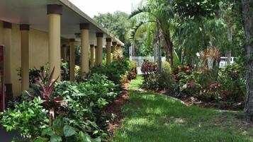 Terrein van de accommodatie