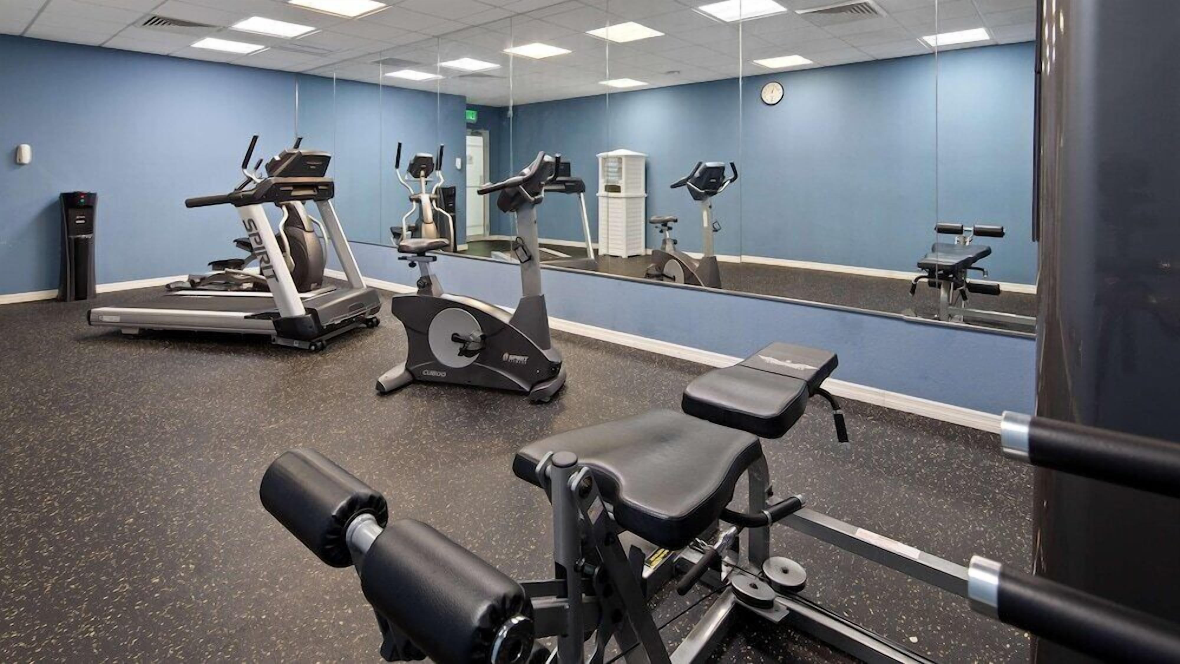 A gym with various exercise equipment, including treadmills, stationary bikes, and weight machines.