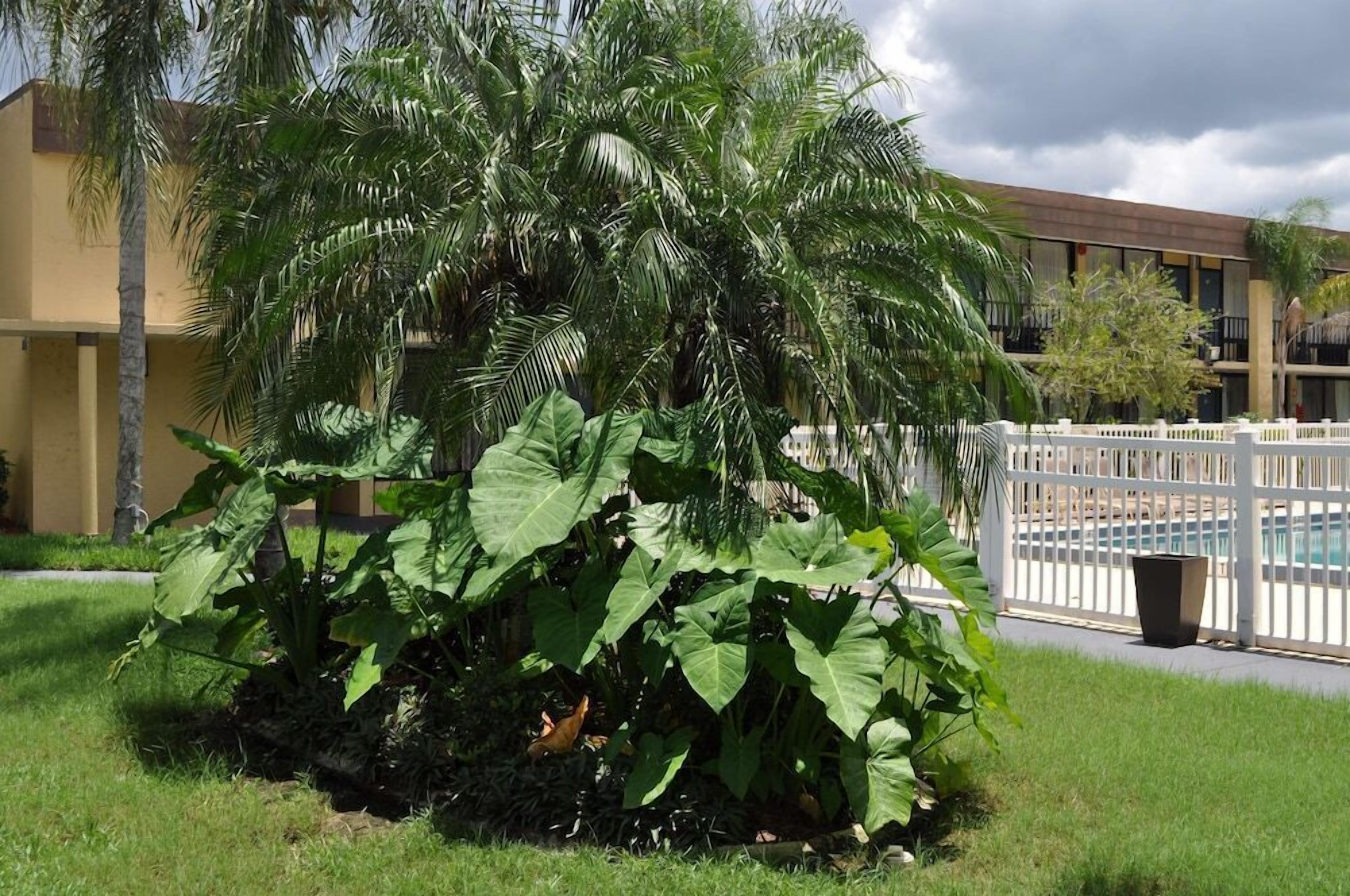 Un hotel con piscina, rodeado de abundante vegetación y una cerca blanca.