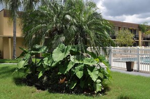 المنطقة المحيطة بالمنشأة