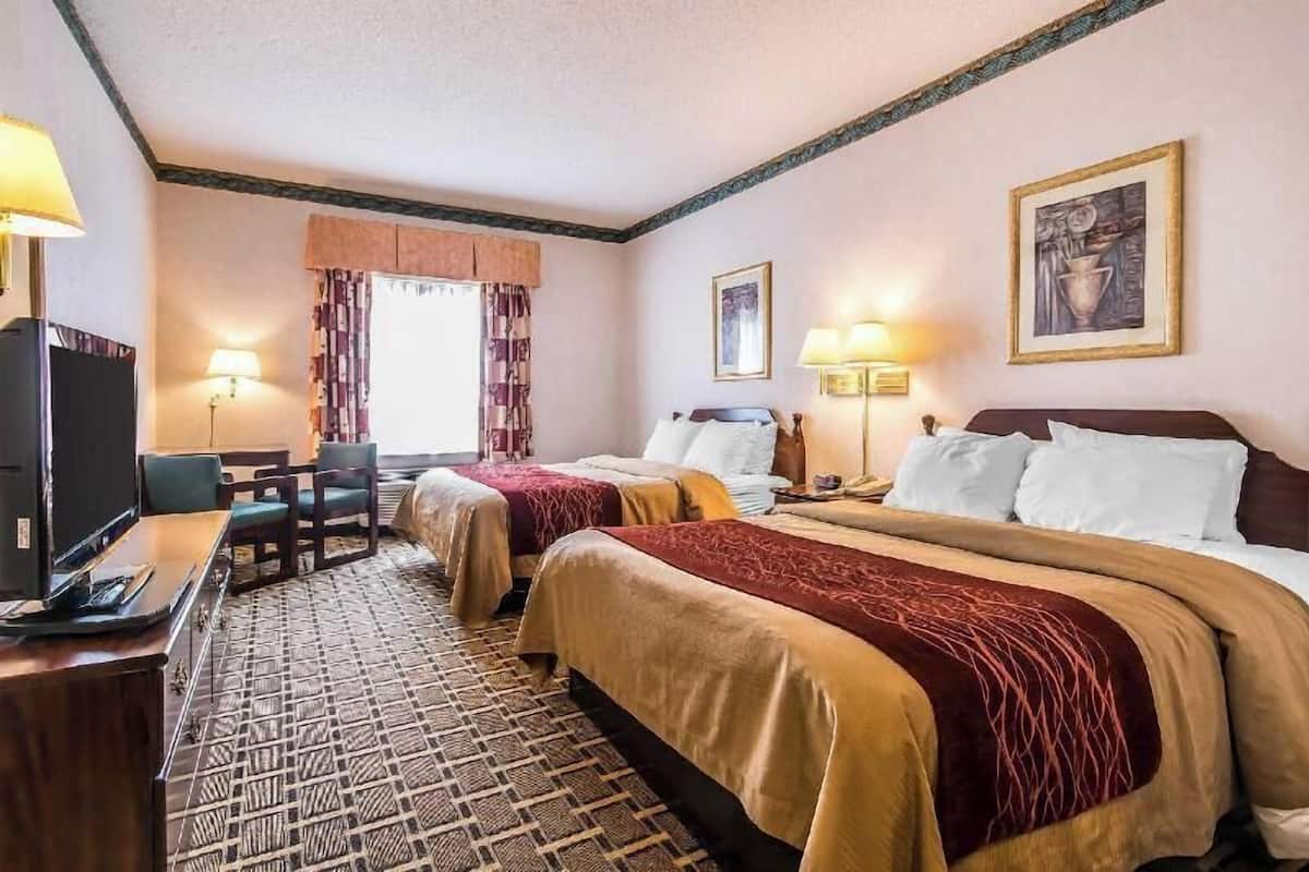 A hotel room with two beds, a desk with a TV, a chair, and a patterned carpet.
