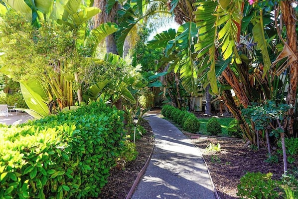 Property grounds - Uptown Oasis San Jose Airport (San Jose)