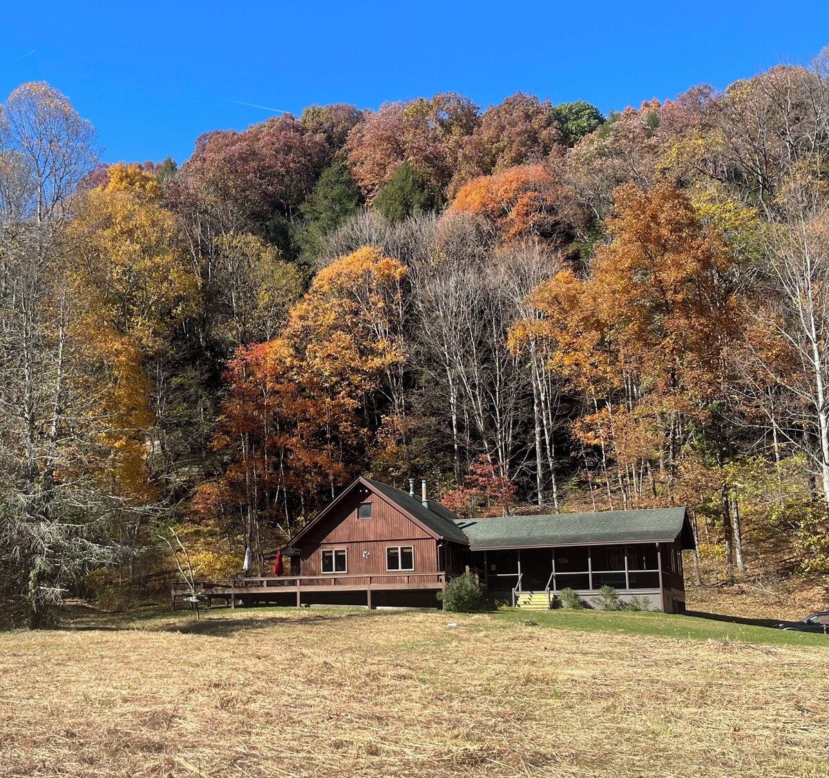 Værtens profilbillede