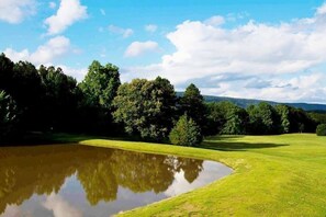 Miscellaneous - Cozy Blue Spirit Cabin Studio Retreat in Peace Valley w/ Queen Bed + Kitchenette (Caddo Gap)