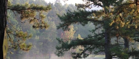 Overnatningsstedets område