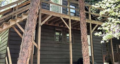 Cozy Cabin Suite by the Pond • Wildlife, Kayaks + Quiet Escape