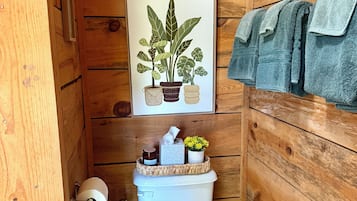 淋浴设施、吹风机、毛巾、卫生纸