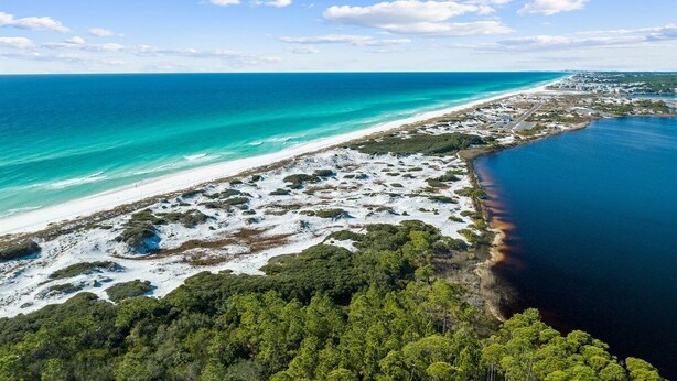 Una vista aerea di una zona costiera con spiaggia, acque blu cristalline e una fitta foresta sullo sfondo.