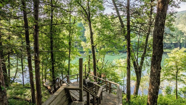 Una terraza de madera con barandas que da a un lago rodeado de bosque denso.