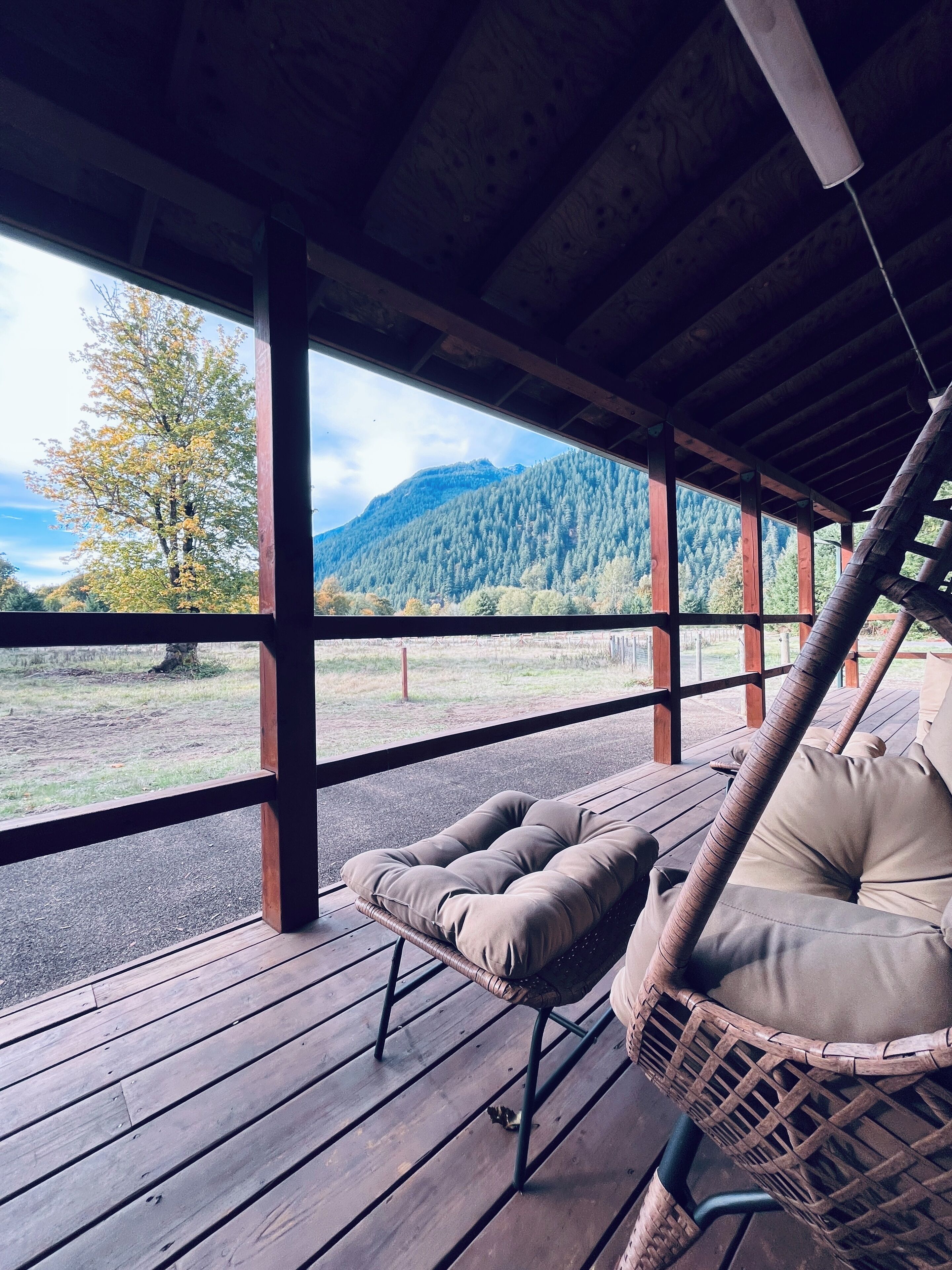 テラス / パティオ