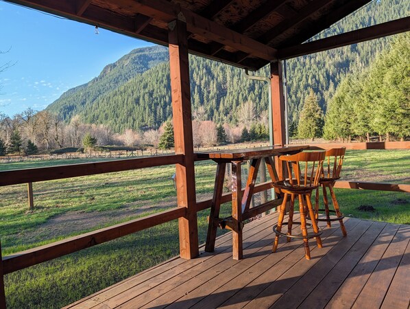 Outdoor dining - Spacious Cabin on 65 acres with no neighbors (Randle)