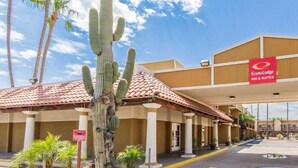 A hotel with a red sign, palm trees, and a large cactus. - Super 8 by Wyndham Mesa Downtown Near Convention Center (Mesa)