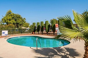 A swimming pool with a metal ladder, surrounded by a fence, and palm trees.