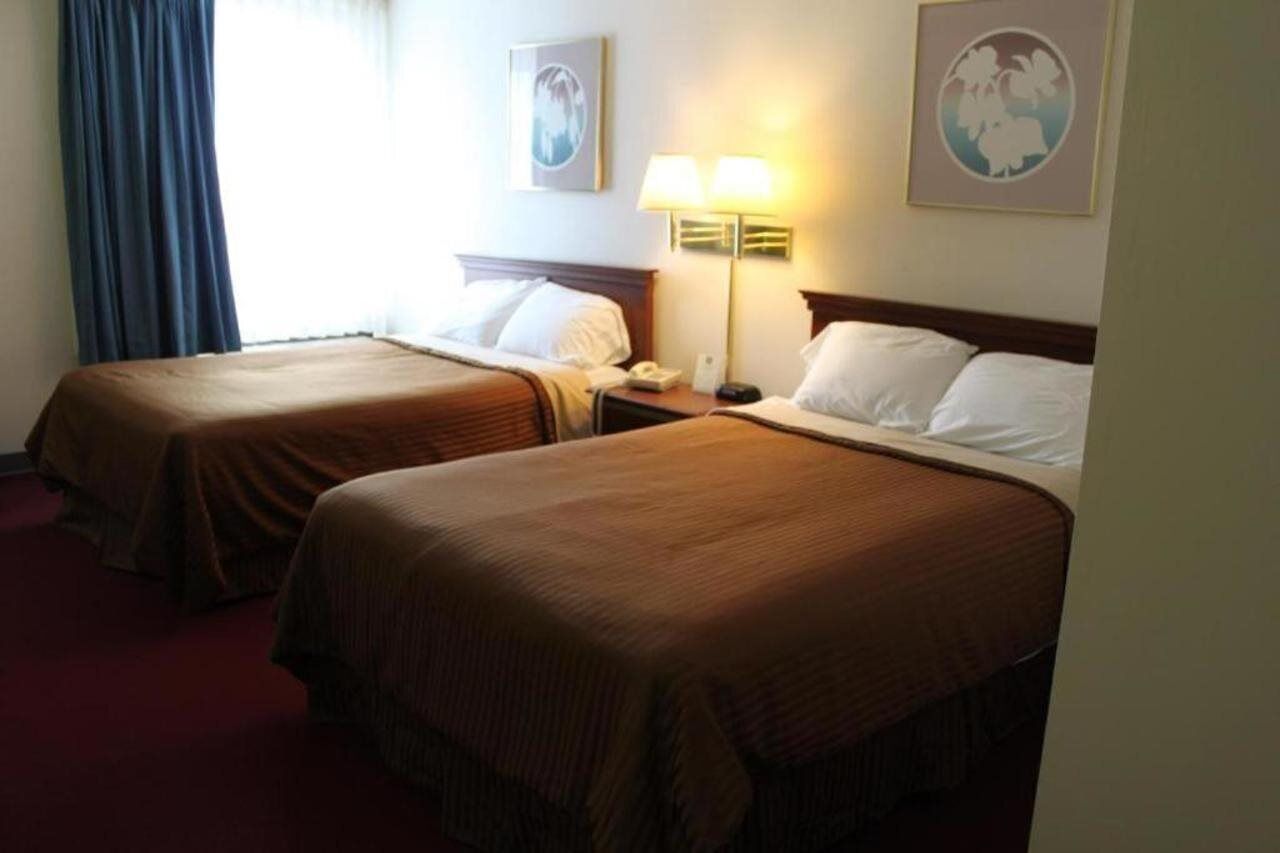 Ett hotellrum med två separata sängar, ett nattduksbord med en lampa och två inramade tavlor på väggen.