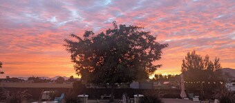 Relaxing Suburban Getaway in a Half Acre Property