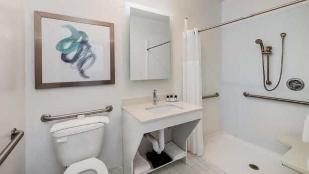 A modern bathroom with a toilet, sink, shower, and a framed abstract painting. - Tryp by Wyndham Tallahassee North I-10 Capital Cir (Tallahassee)