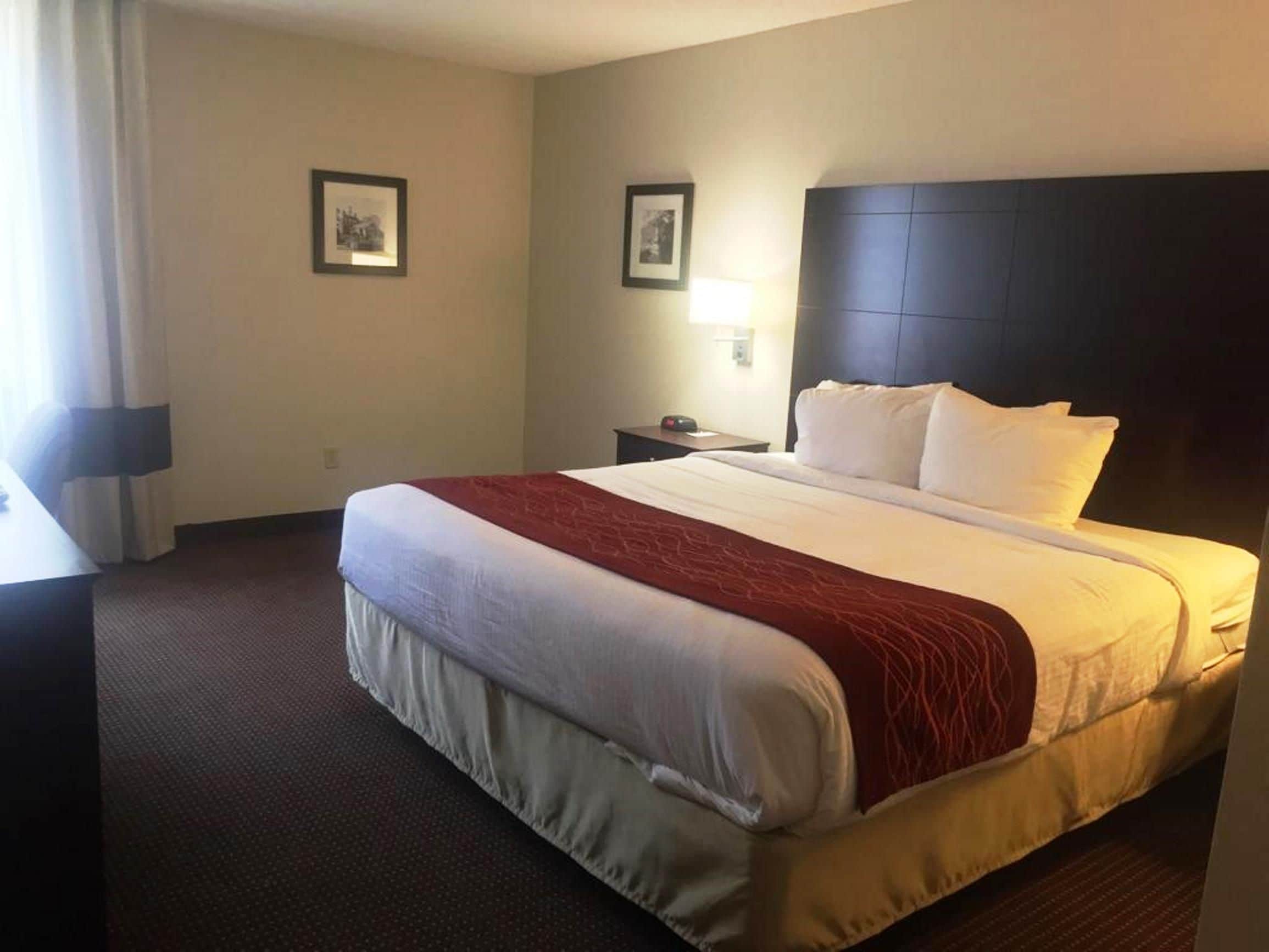 A hotel room with a large bed, a nightstand, a lamp, and two framed pictures on the wall.