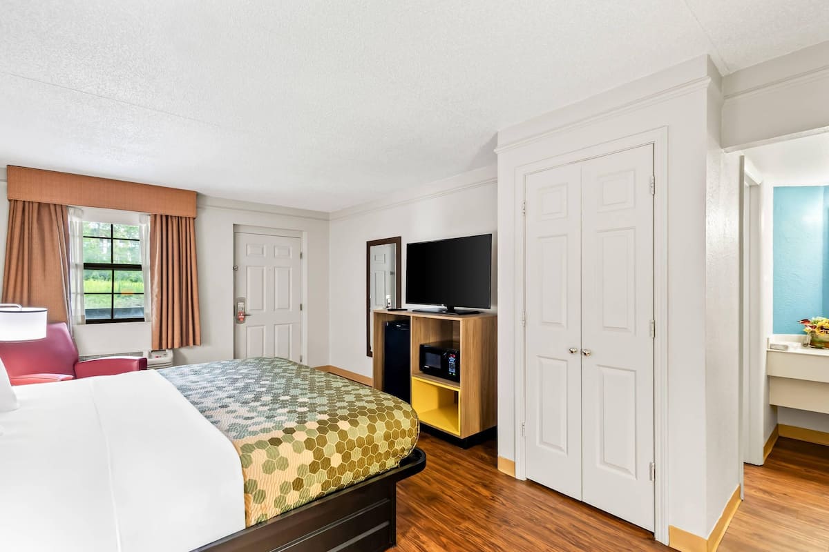 Una habitación de hotel con una cama, televisión, microondas y armario.