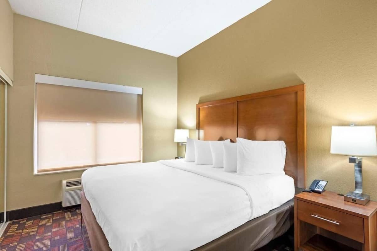 A hotel room with a large bed, bedside lamps, a telephone, and a window with blinds.