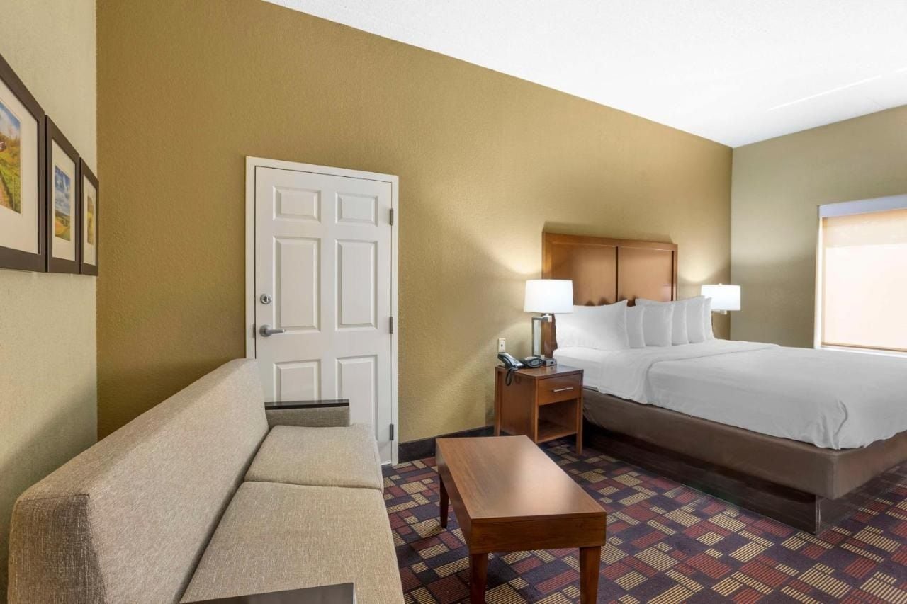 A hotel room with a bed, a sofa, a nightstand with a lamp, and a patterned carpet.