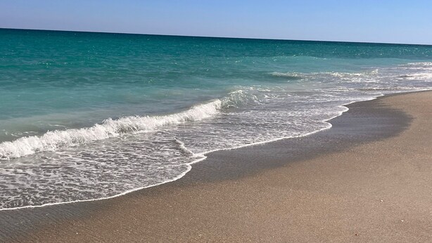 Une plage à l’eau turquoise et limpide, bordée d’un rivage sablonneux.
