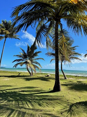 Sun-loungers, beach towels - Villa Del Mar – Beachfront Luxury Home with Private Pool & Ocean Views (Punta Santiago)