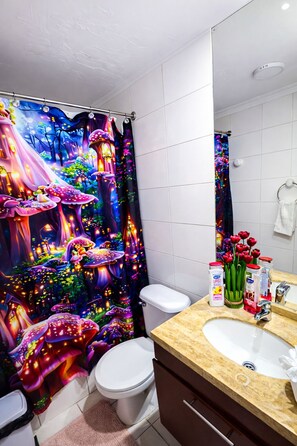 Hair dryer, shampoo, toilet paper - Apartment near Santa Ana metro station, 2.3 bedrooms (2 bedrooms) (Santiago)