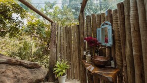A rustic outdoor bathroom with a wooden structure, a potted plant, a basin, and a bottle of soap. - Teepee Tipi  da Serra  (Brumadinho)