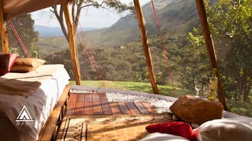 Deluxe tent | Gratis wifi