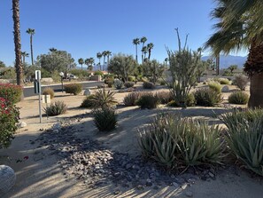 Property grounds - Palm Springs Tranquility (Palm Springs)