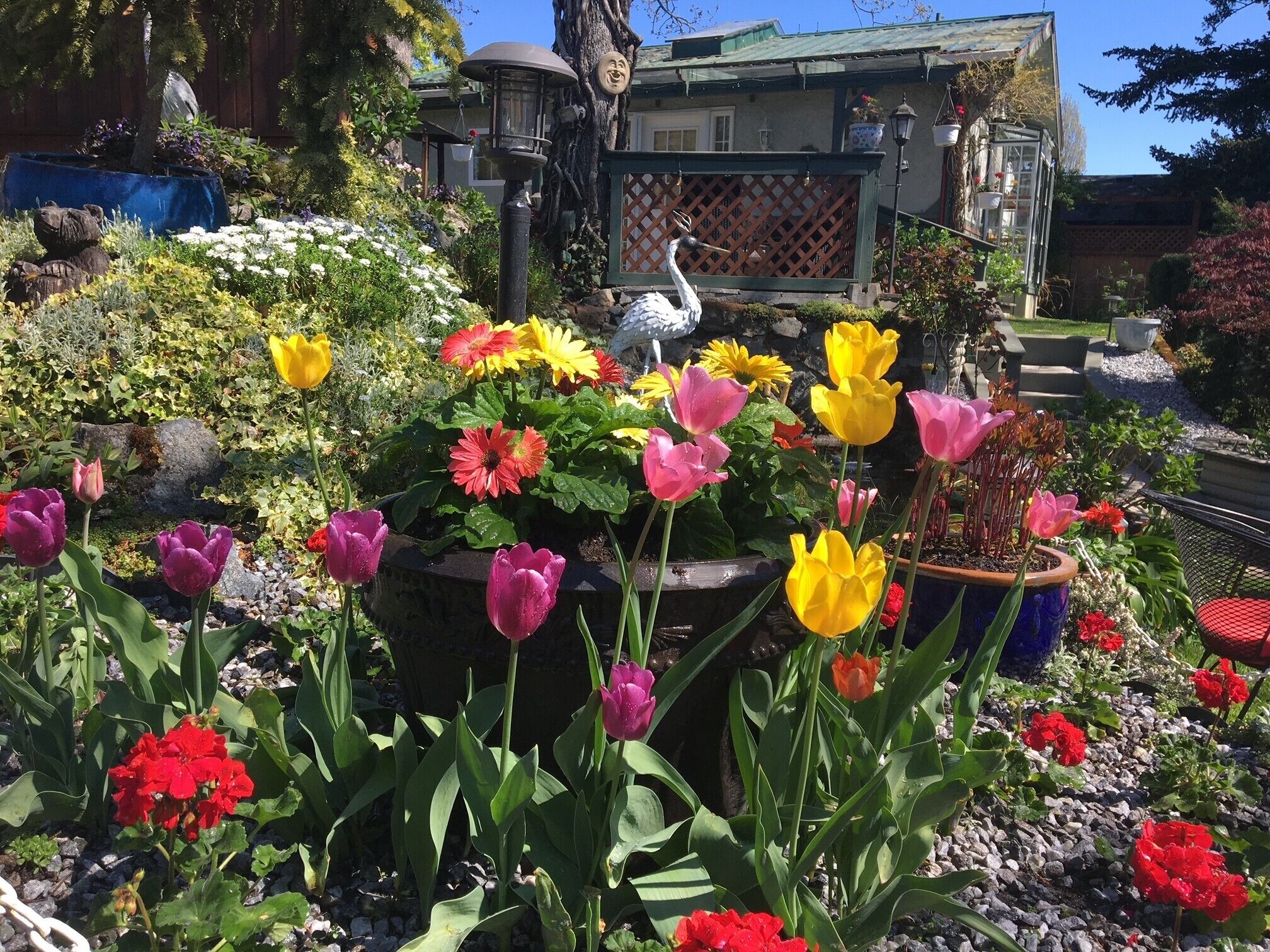 Terrein van de accommodatie