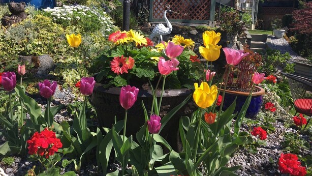 Un jardin agrémenté de diverses fleurs, une statue d’oiseau et, au fond, un bâtiment de style traditionnel.