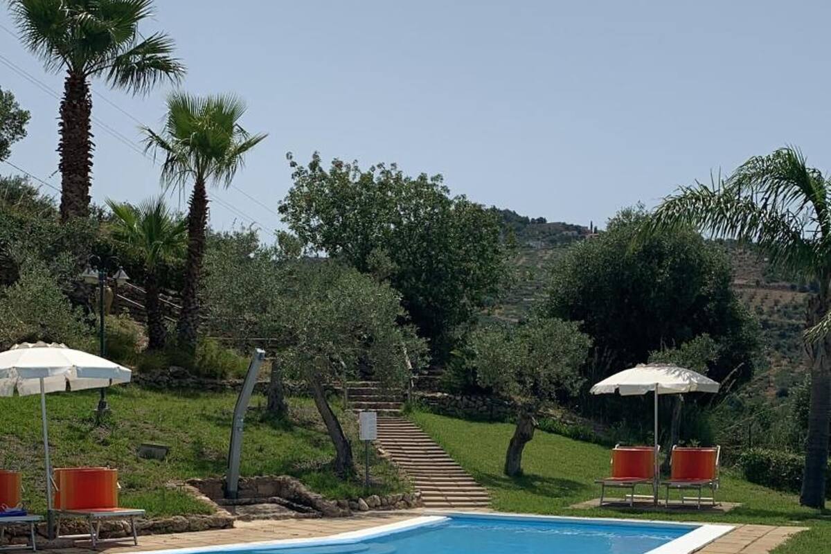 Una piscina con agua azul cristalina, rodeada de follaje y palmeras.