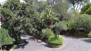 Vista desde la propiedad