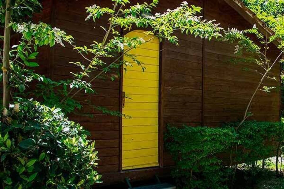Eine Holzhütte mit gelber Tür, umgeben von viel Grün.