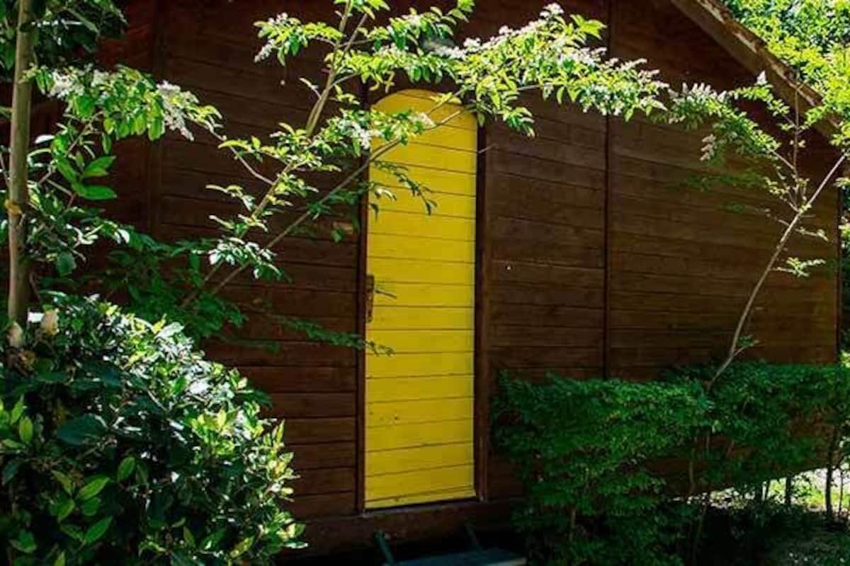 A wooden cabin with a yellow door, surrounded by greenery.