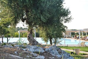 Vista desde la propiedad