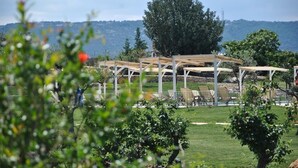 Een wijngaard met pergola’s en zitplaatsen, omringd door groen en heuvels.
