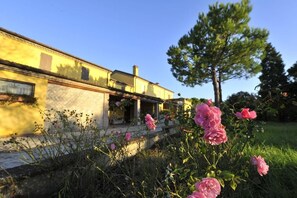 Utsikt fra overnattingsstedet