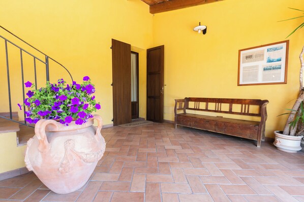Un patio con baldosas, una gran maceta de terracota con flores púrpuras, un banco de madera y una puerta que da a un espacio interior.