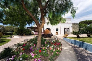 A landscaped garden with a tree, colorful flowers, and a stone pathway leading to a building with a stone facade and a door. - Ideal (Forio)