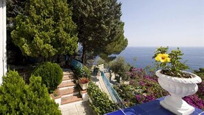 Ein Balkon mit Meerblick, umgeben von Grünpflanzen und einem weißen Topf mit einer gelben Blume.