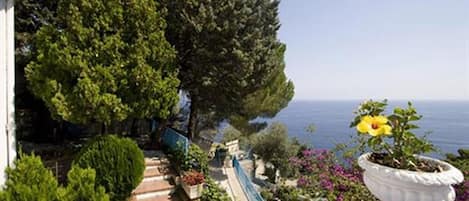 テラス / パティオ