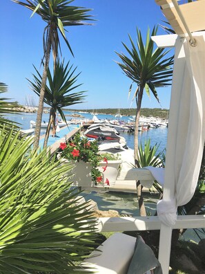 Vista desde la propiedad