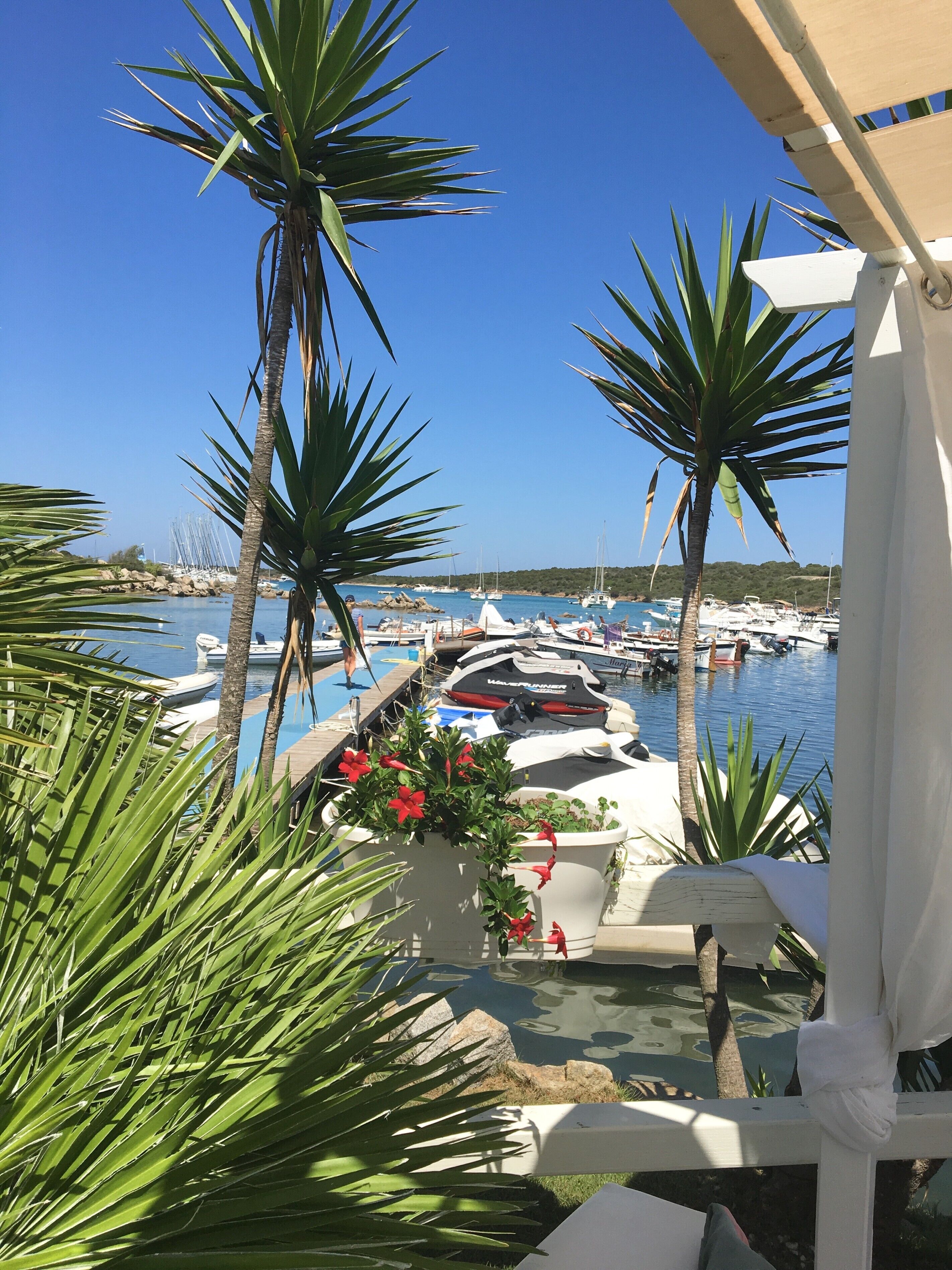 Vista desde la propiedad