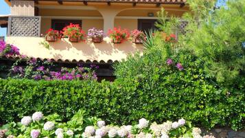 Vista desde la propiedad