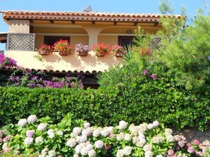 Vista desde la propiedad