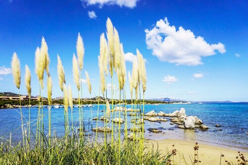 Baia de Bahas - Apartments